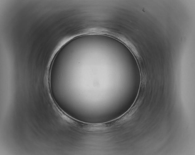 X0000112021486200908101352