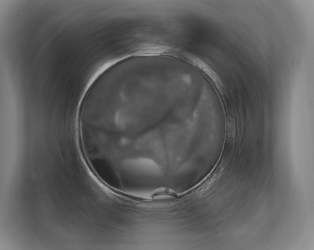 X0000112021487200908101352