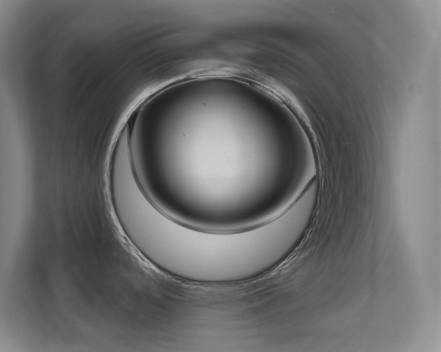 X0000112021488200908101352