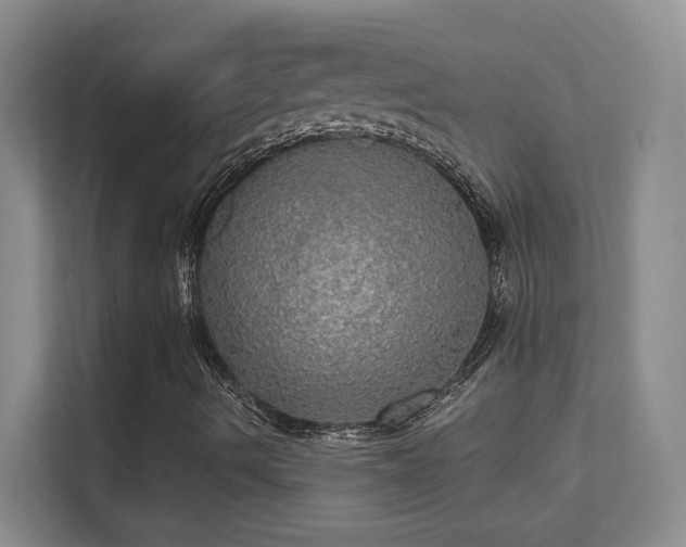 X0000112021490200908101351