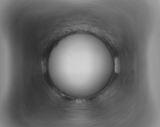 X0000112021491200908101351