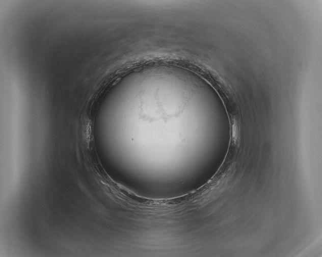 X0000112021492200908101351