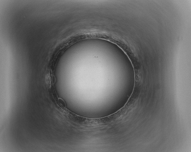 X0000112021493200908101351