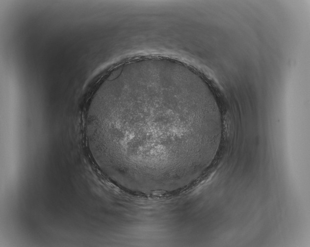 X0000112021494200908101351