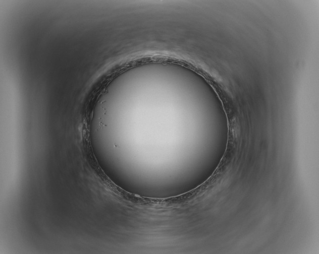 X0000112021495200908101351