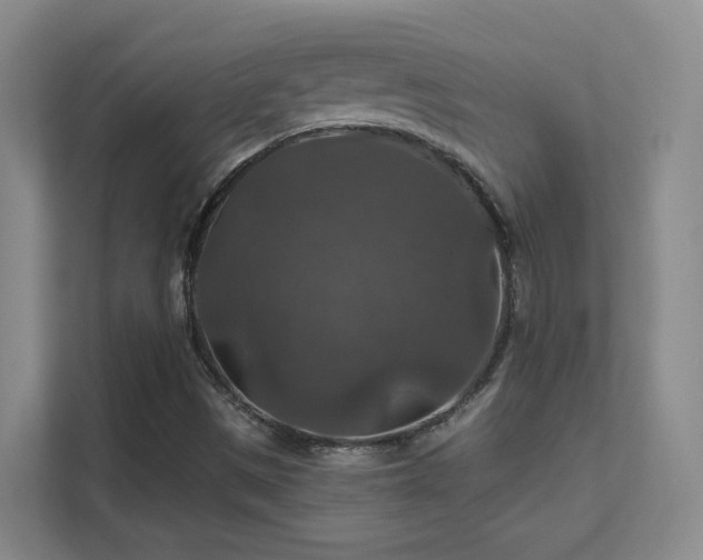 X0000112021497200908101351