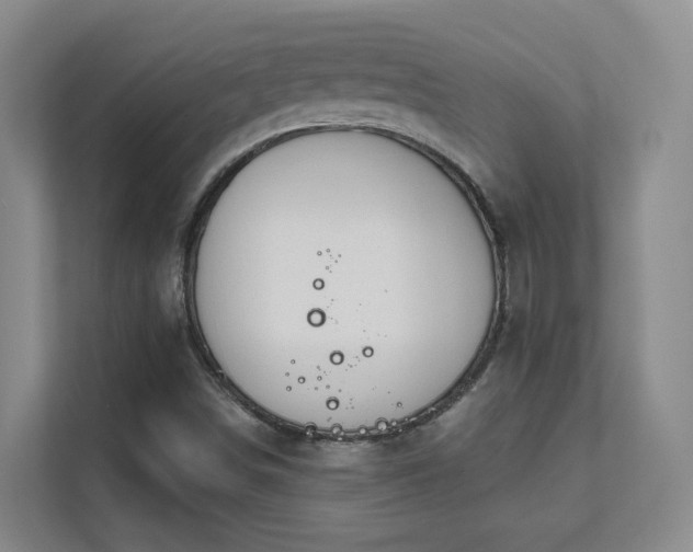 X0000112021498200908101351