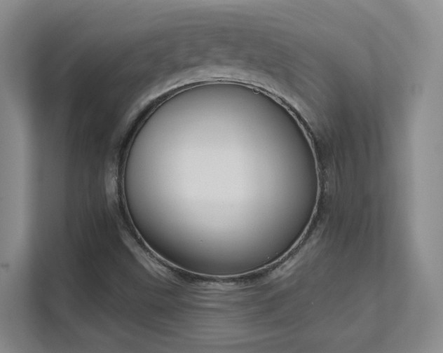 X0000112021499200908101351