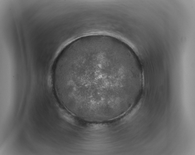 X0000112021501200908101351