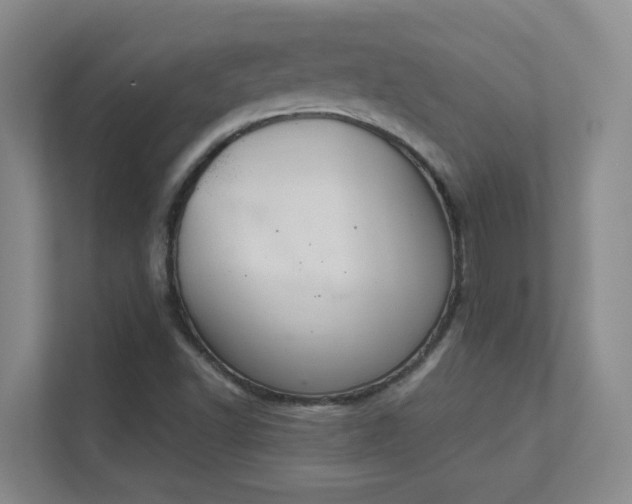 X0000112021502200908101351