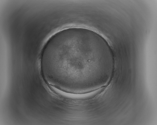 X0000112021503200908101351