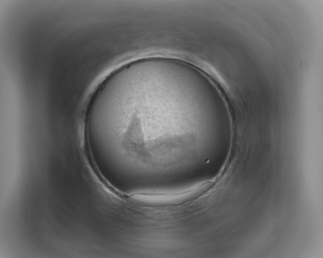 X0000112021504200908101351