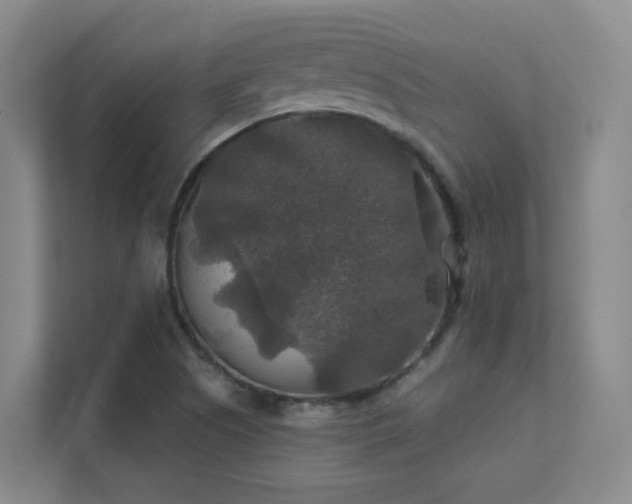 X0000112021505200908101351