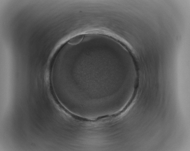 X0000112021506200908101351