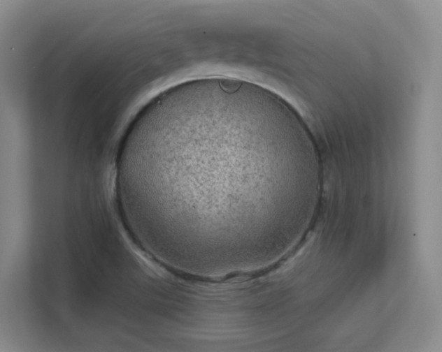 X0000112021507200908101351