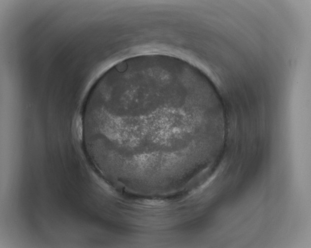 X0000112021509200908101351