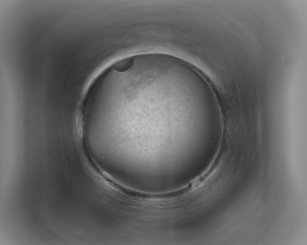 X0000112021510200908101351