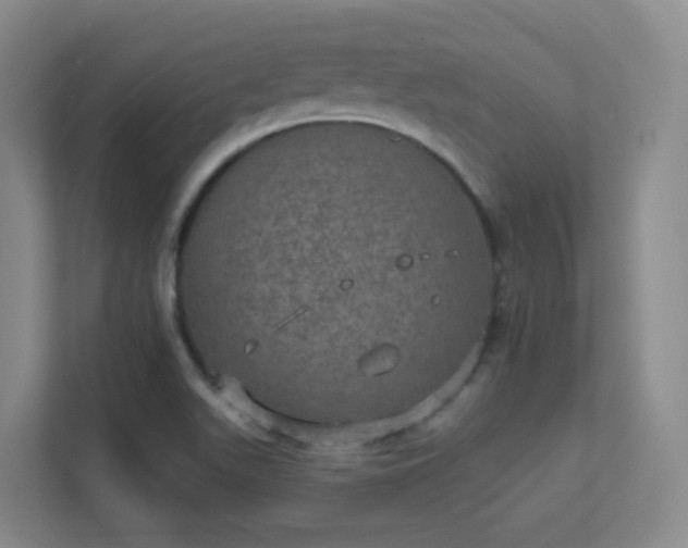 X0000112021511200908101351