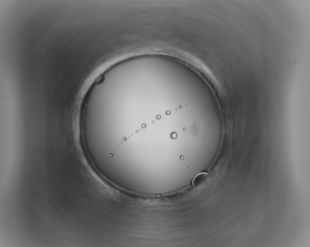 X0000112021512200908101351