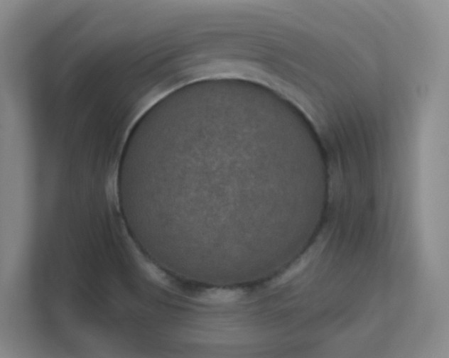 X0000112021513200908101351