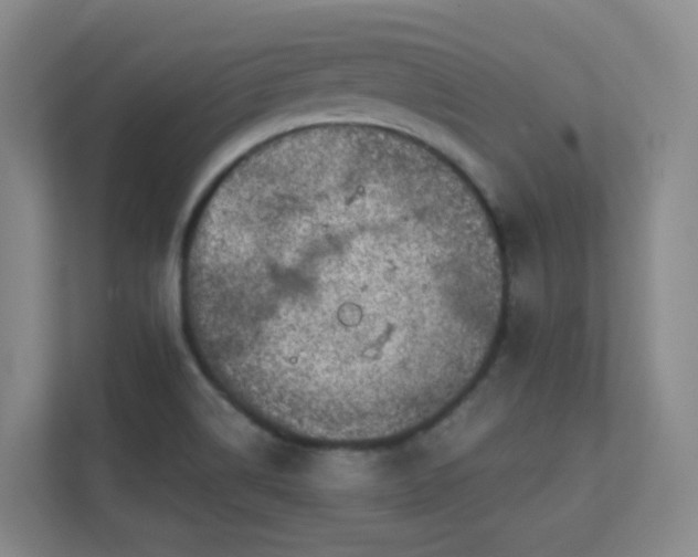 X0000112021514200908101351