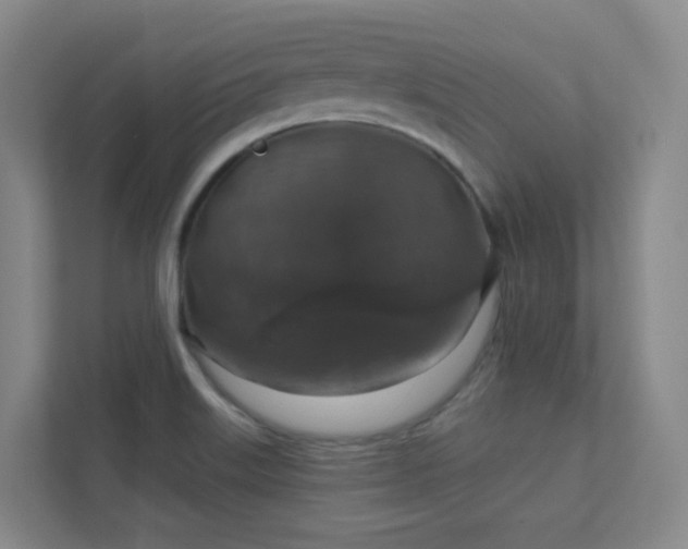 X0000112021515200908101351