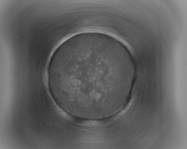 X0000112021517200908101352