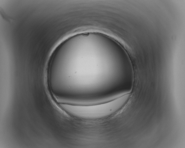 X0000112021518200908101352