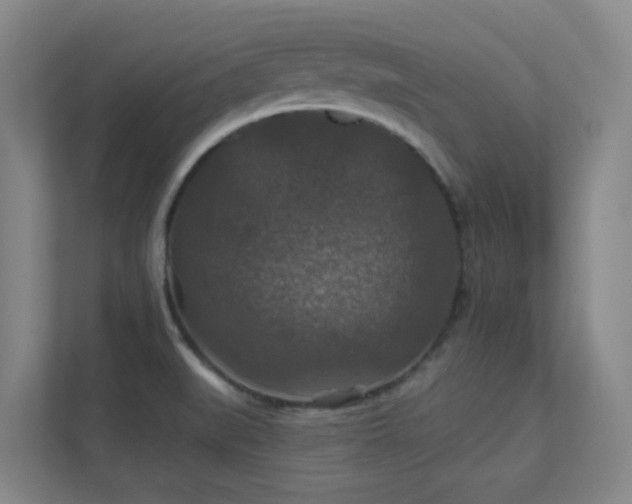 X0000112021519200908101352