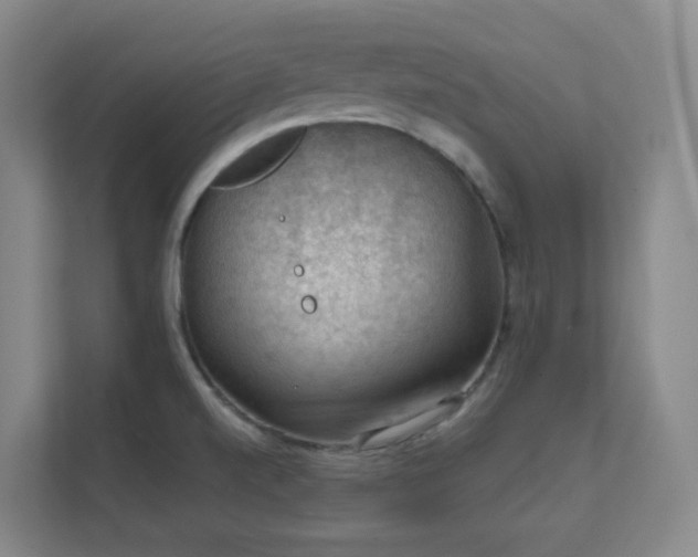 X0000112021520200908101352