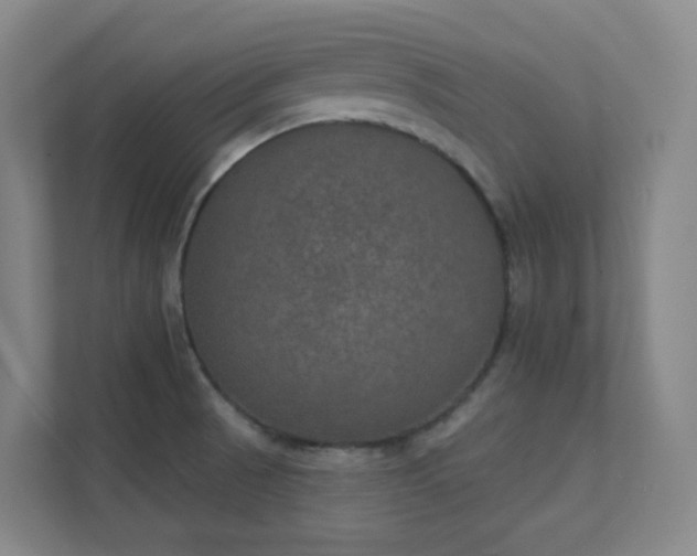 X0000112021521200908101352