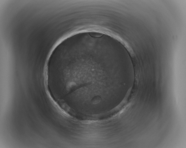 X0000112021522200908101352