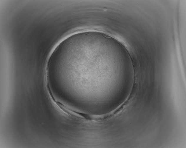 X0000112021524200908101352