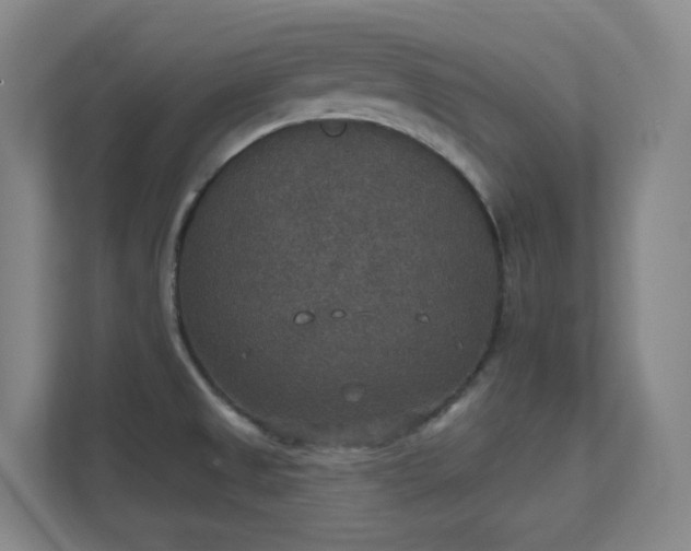 X0000112021525200908101352