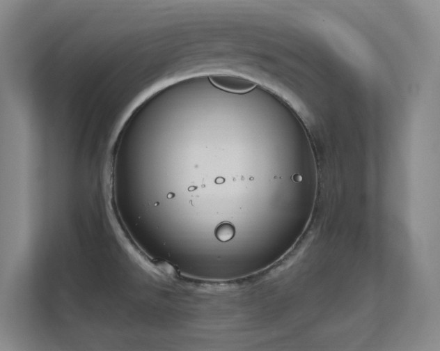 X0000112021526200908101352