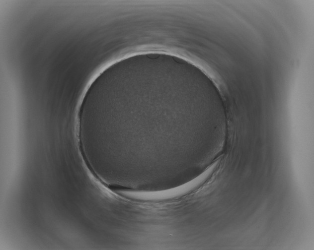 X0000112021527200908101352