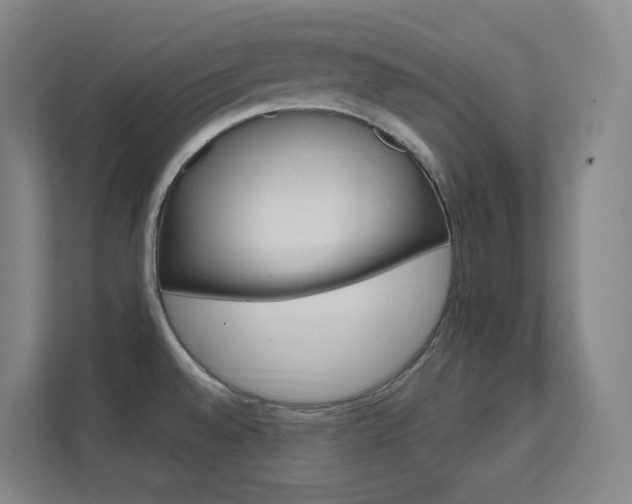 X0000112021528200908101352