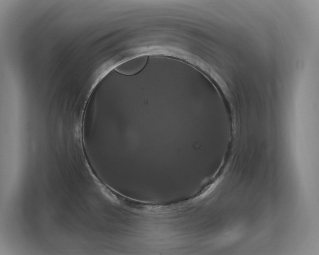 X0000112021529200908101352