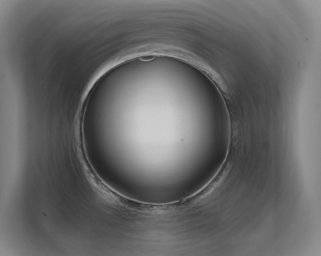 X0000112021530200908101352