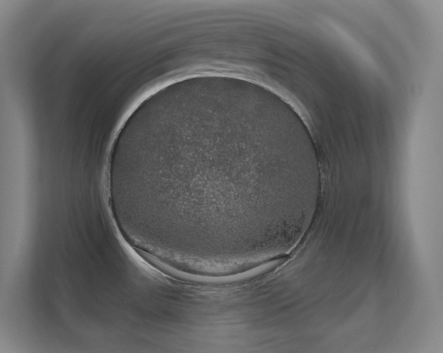 X0000112021531200908101352