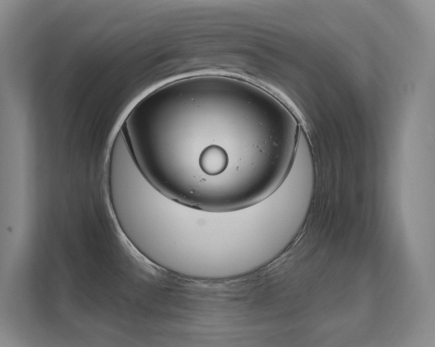 X0000112021532200908101352