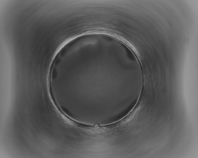 X0000112021533200908101352