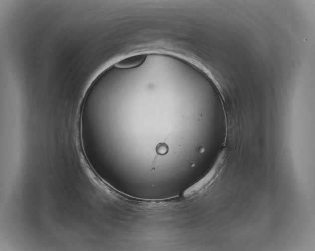 X0000112021534200908101352