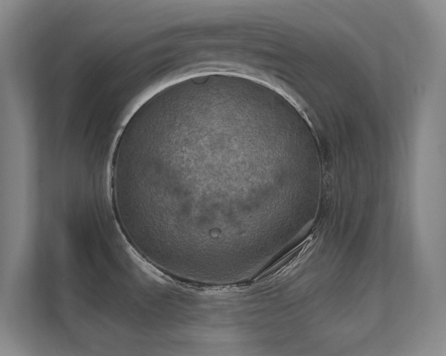 X0000112021535200908101352