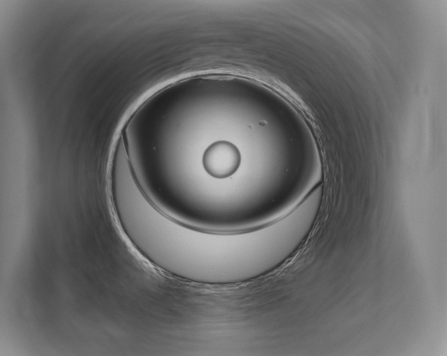 X0000112021536200908101352