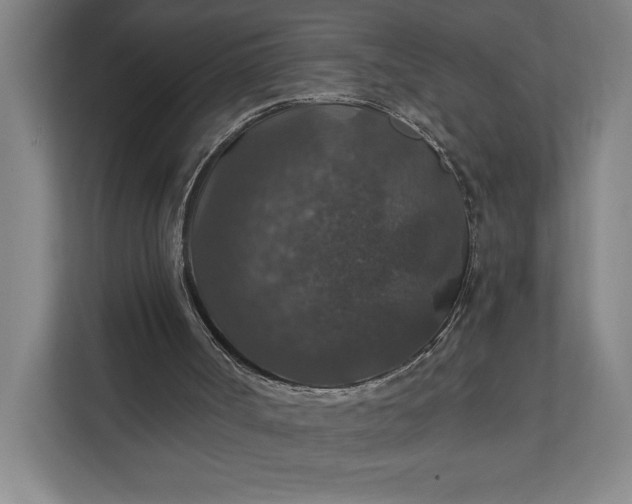 X0000112020002200908171440