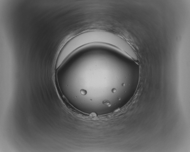 X0000112020003200908171440