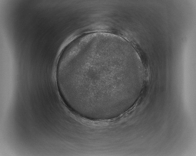 X0000112020004200908171440