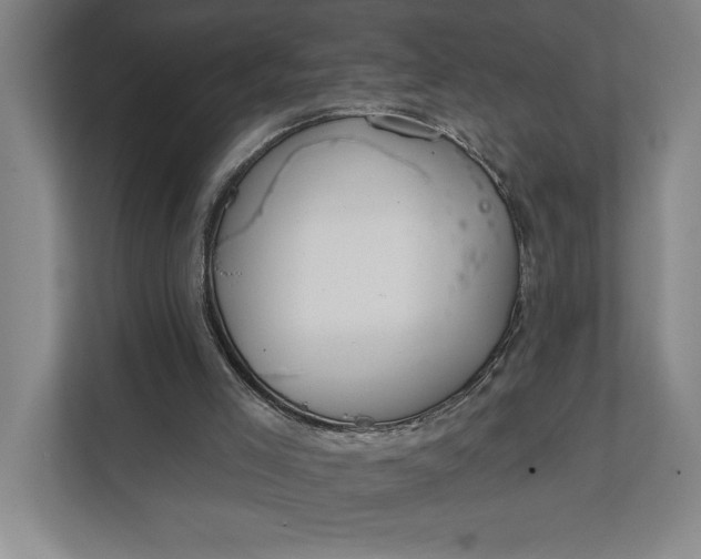 X0000112020005200908171440