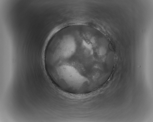 X0000112020006200908171440